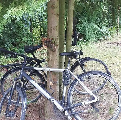 Dom W Gaju Nad Jeziorem Debno *