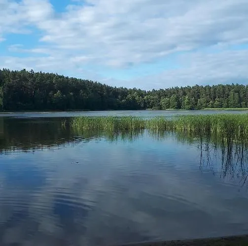 度假居 Dom W Gaju Nad Jeziorem Debno